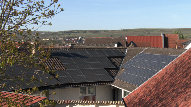 Vogel des Jahres Hausrotschwanz Dächer