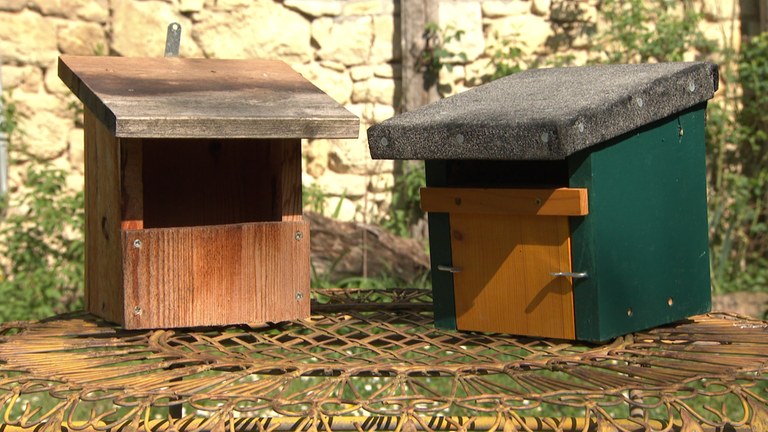 Vogel des Jahres Hausrotschwanz Nistkasten