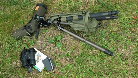 Tipps und Tricks für die Vogelbeobachtung