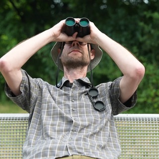 Tipps und Tricks für die Vogelbeobachtung