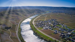 Wanderung auf dem Klüsserather Sagenweg: fantastische Aussicht über die Mosel
