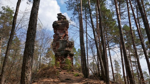 Rundwanderweg auf dem Napoleon-Steig im Dahner Felsenland: Blick auf den Napoleonfelsen