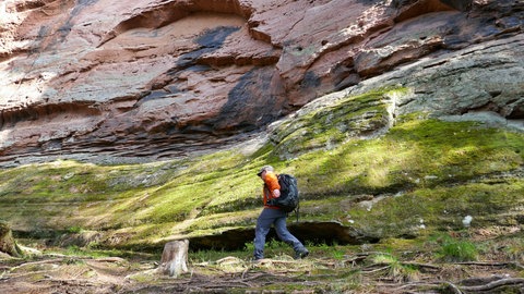 Rundwanderweg Napoleon-Steig im Pfälzerwald: Wanderer läuft an den roten Retschelfelsen entlang