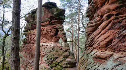 Rundwanderweg Napoleon-Steig im Pfälzerwald: Die Eisenbahnfelsen aus der Nähe betrachtet