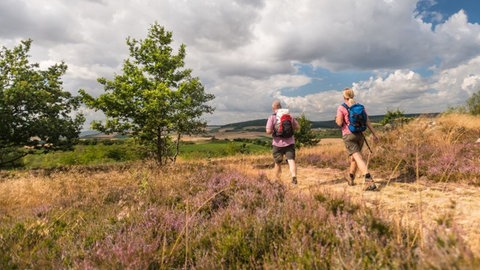 Rundwanderweg Hiwweltour Heideblick in Rheinhessen: zwei Wanderer unterwegs