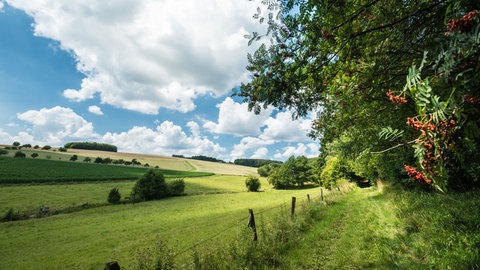 Rundwanderweg Wäller Tour Iserbachschleife im Westerwald: Weite Blicke über Felder und Wiesen