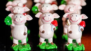 Glücksschweine sind beliebte Glücksbringer für das neue Jahr.