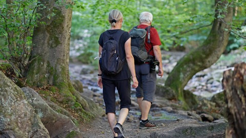 Zum Thema Wandern mit kostenlosen Apps: Wanderer im Wald