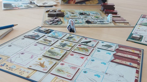 Ein Spielertableau mit ausliegenden Plättchen, dahinter eine allgemeine Auslage: Die Jury "Spiel des Jahres" hat "Auf den Spuren von Darwin" zum "Spiel des Jahres 2024" nominiert.