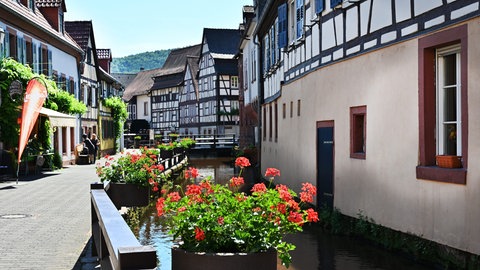 Malerische Ansicht des Kurorts Annweiler am Trifels im Naturpark Pfälzerwald. 