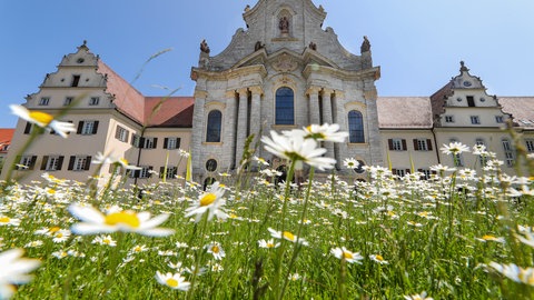 Wandern auf der Schwäbischen Alb: Blick durch eine Wiese mit Margeriten auf das barocke Münster "Unserer lieben Frau" in Zwiefalten