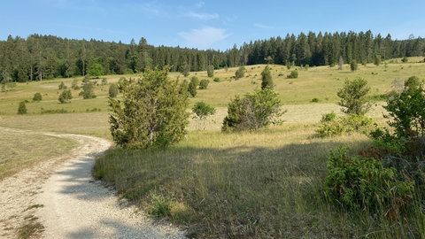 Wandern auf der Schwäbischen Alb: Der Wanderweg durch die Wacholderheide bei Hayingen