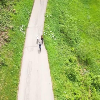 3 Radfahrer auf einer Straße umringt von Wiesen