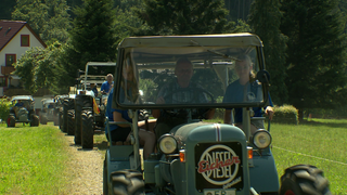 Oldtimer Traktoren fahren in einer Reihe