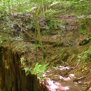 Ein Ausflug zu der Tobelschlucht
