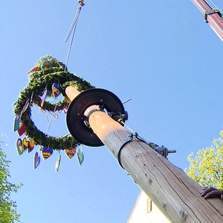 Maibaum in Gutenzell
