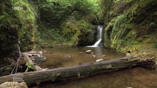 Geroldsauer Wasserfälle bei Baden Baden