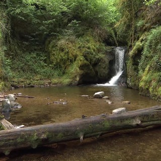 Geroldsauer Wasserfälle bei Baden Baden