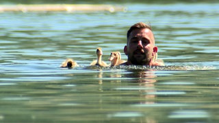 Patrick Furch schwimmt mit Entenküken im Breitenauer See