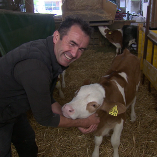 Mann mit Kälbchen auf dem Baldenwegerhof