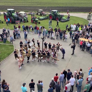 Göpelwettkampf in Ertingen