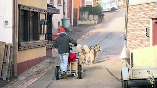 Joscha Krause betreibt eine Kaffeerösterei in Löffingen. Im Winter fährt er den Kaffee mit einem Hundeschlitten mit Rädern aus.