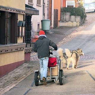 Joscha Krause betreibt eine Kaffeerösterei in Löffingen. Im Winter fährt er den Kaffee mit einem Hundeschlitten mit Rädern aus.