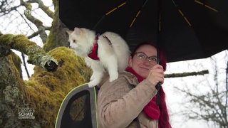 Ein Kater sitzt draußen auf der Schulter einer Frau