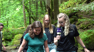 Wanderung in der Monbachschlucht