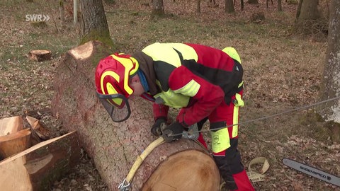 Phillip Rau aus dem Landkreis Heidenheim