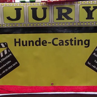 Sabrinas Hunde beim Filmcasting