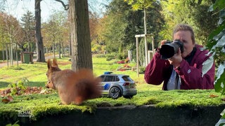 Sibylle fotografiert ein Eichhörnchen