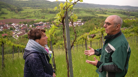Wein aus Auenwald - Sonja Faber-Schrecklein steht mit einem Winzer im Weinberg.