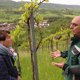 Wein aus Auenwald - Sonja Faber-Schrecklein steht mit einem Winzer im Weinberg.