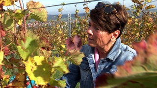 Sonja Faber-Schrecklein steht zwischen bunt gefärbten Reben in einem Weinberg in Großvillar.