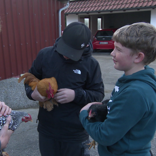 Jugendliche Kleintierzüchter halten Hühner in den Armen