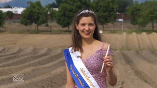 Spargelstechen mit Spargelkönigin Emilia Manzano
