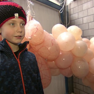 Junge mit Saublodere