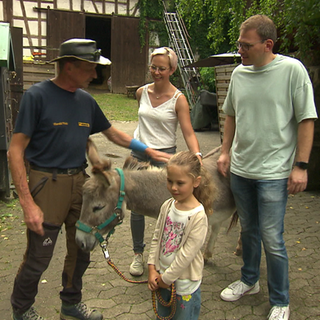 Eseltrekking an der Zachersmühle
