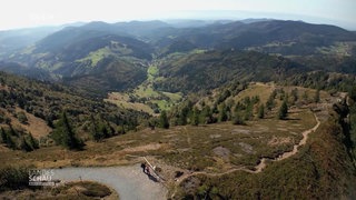 Ausblick auf den Schwarzwald aus der Vogelperspektiv.
