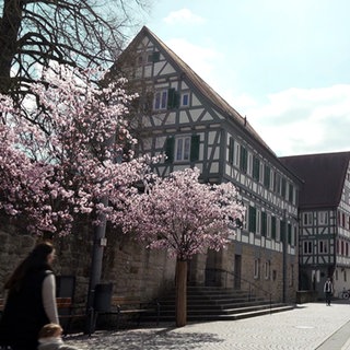 Fachwerkhäuser am Dorfplatz von Winterbach im Remstal