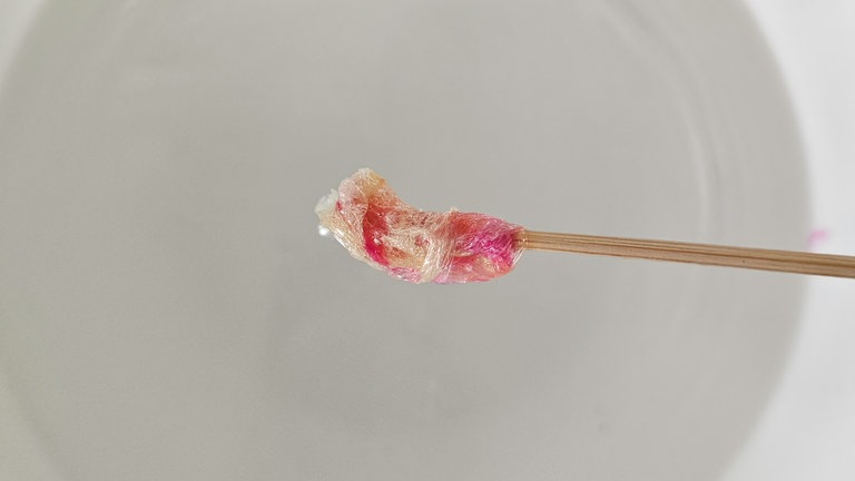 und an einem Küchenpapier abstreift werden.