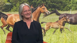 Astrid von Velsen-Zerweck