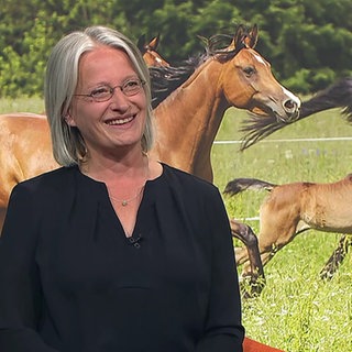 Astrid von Velsen-Zerweck