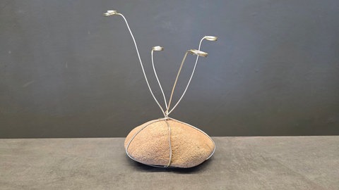 Luftige Tischdekoration mit schwebenden Blüten