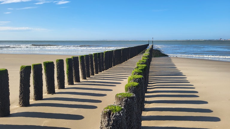 Strand von Breskens, Bild von Doris A. aus Neuwied