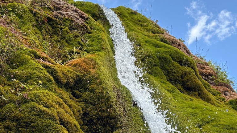 Melanie Knieps aus Königsfeld schreibt: "Dreimühlen-Wasserfall: Wir waren jetzt zweimal da. Es ist faszinierend und gleichzeitig schön. Es ist ein wachsender Wasserfall. Durch das Wasser wird der Kalk ausgewaschen und dadurch wird er mit der Zeit breiter. Das Wasser ist sehr kühl und man kann ihn sehr gut zu Fuß erreichen."