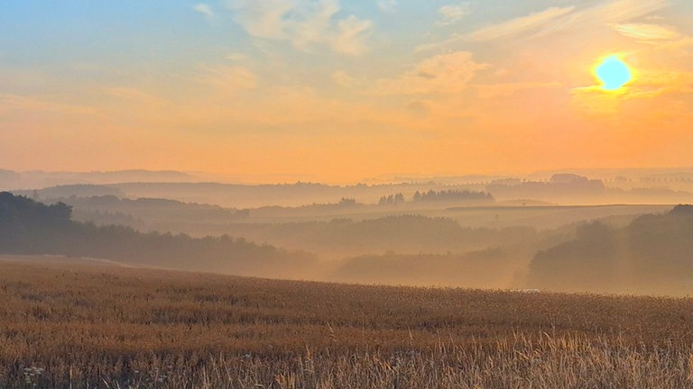 Gabriele schreibt uns zu ihrem Bild "Sonnenaufgang mit Nebel über dem Moseltal": "Mit dem Fahrrad früh morgens gegen 5.30 Uhr auf dem Weg zur Mosel runter." Dieses Bild haben wir am 31. Juli als "Foto des Tages" ausgewählt.