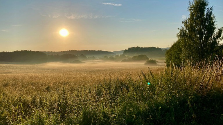 Thomas aus Mülheim-Kärlich schreibt uns: "Urlaub im Westerwald, morgens um 6:30 Uhr. Leichte Nebelschwaden steigen von der Morgensonne erwärmt nach oben und ergeben ein tolles Licht. Entdeckt auf dem Weg zum Bäcker …"