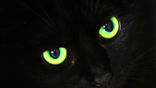 Freitag der 13. - Unglückstage und Aberglaube weltweit. Was dagegen hilft